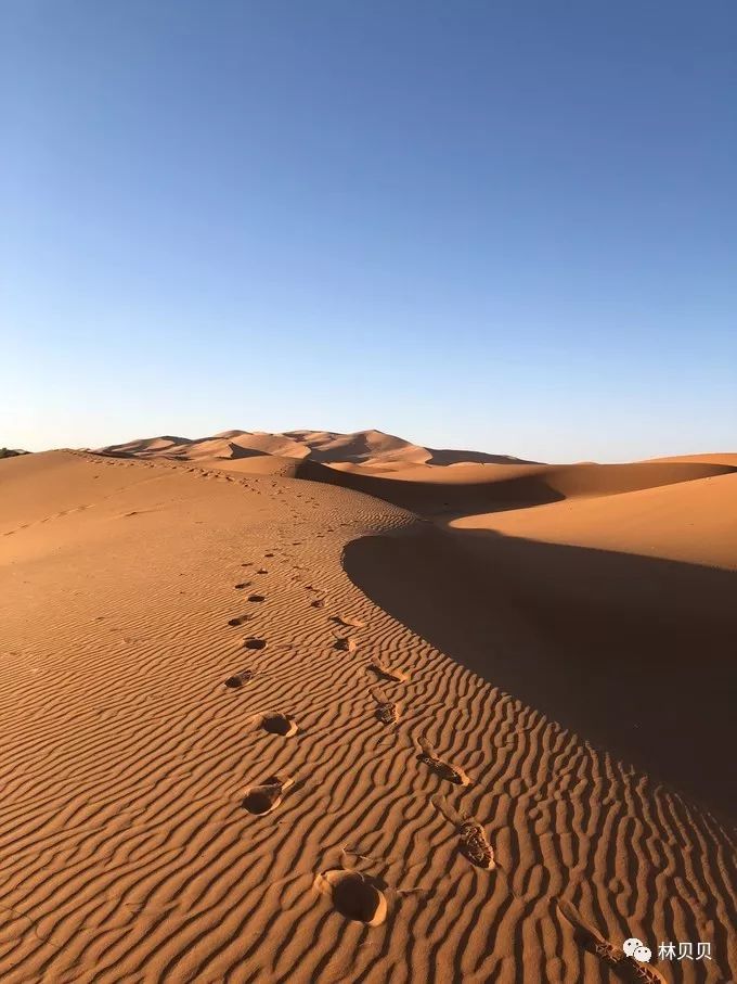 摩洛哥10天,摩洛哥12天瘦5斤减肥成功案例