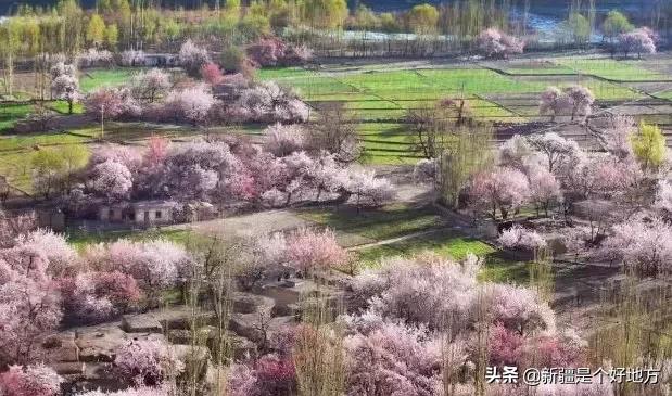 收藏!*疆新**60个“网红”打卡地都在这里