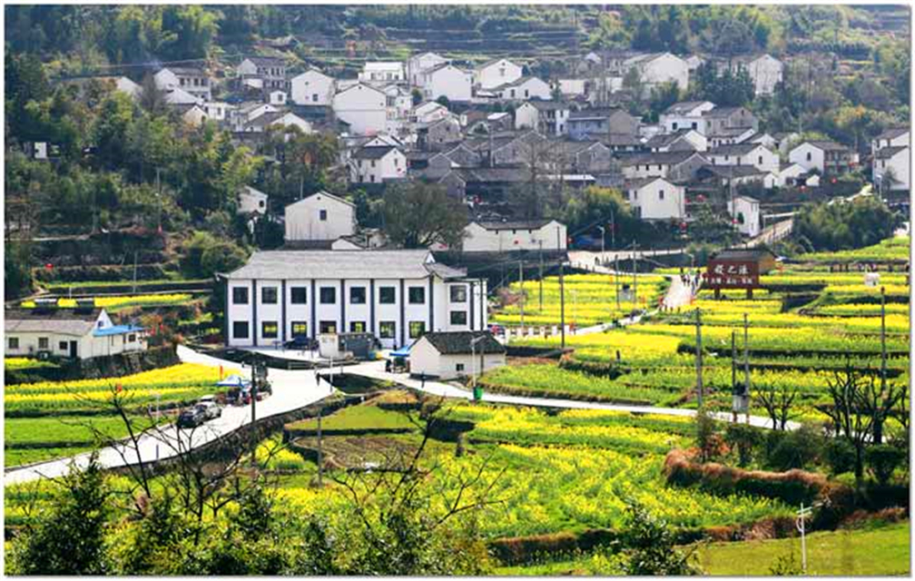 屋后的沟为何叫阳沟,挖屋后的阳沟有什么讲究