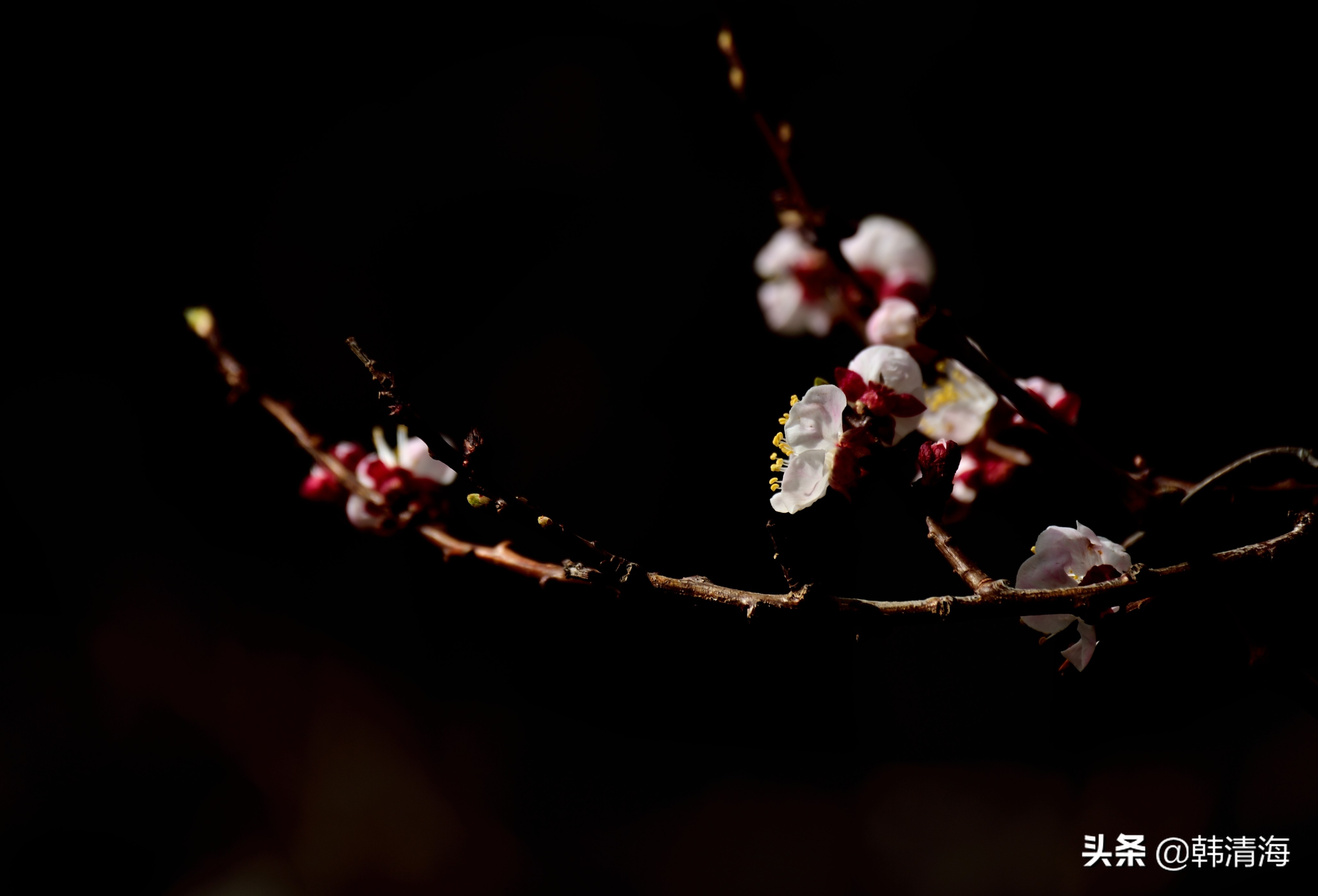 天津市南开区水畔花园简介,天津南开水畔花园洋房