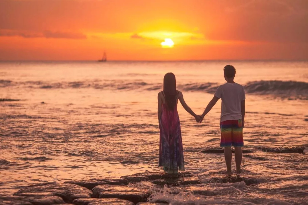 渣男不可信,渣男不可信视频