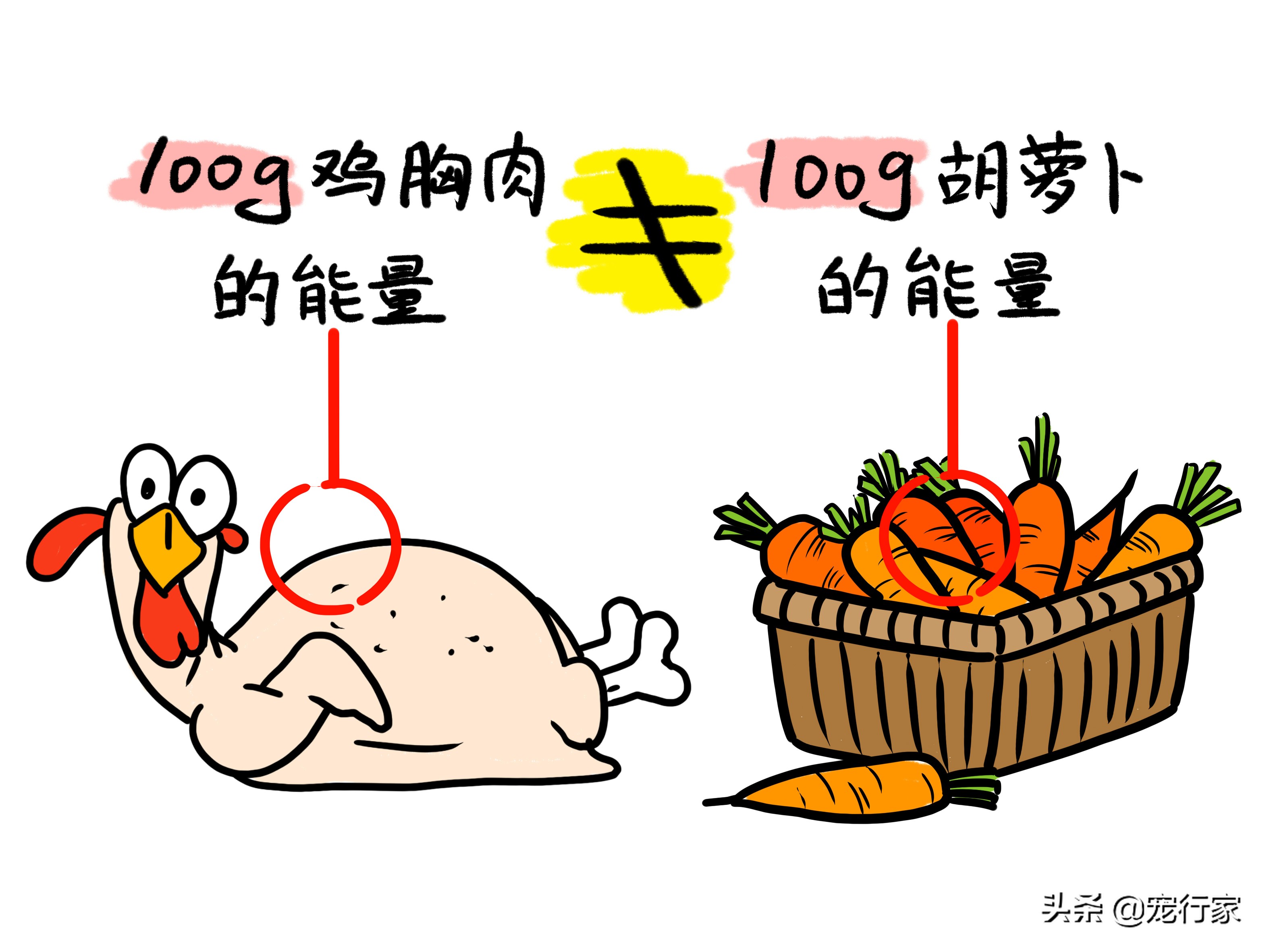 狗狗换粮拉稀还要继续换粮吗,狗狗换粮拉肚子持续几天