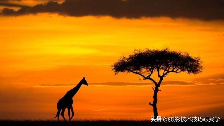 单反摄影入门必学的15个摄影知识,摄影知识学习视频教程全集免费