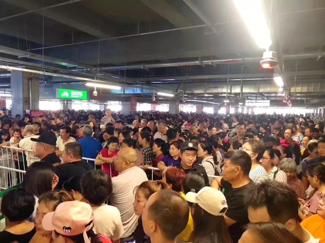 郑州宜家商场最新状况,宜家郑州商场后续