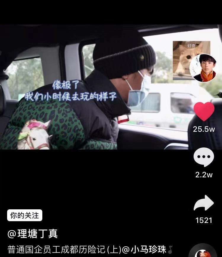 攒钱买波司登 (买大鹅还是买波司登)