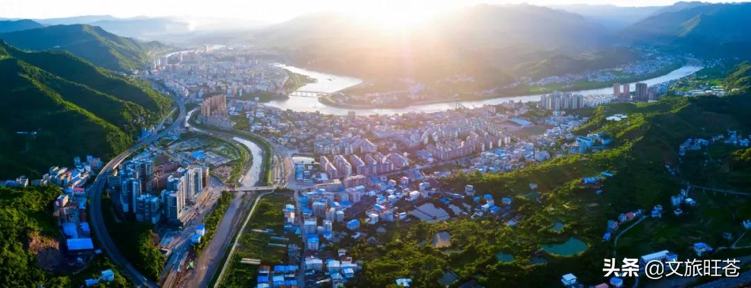 周末来一场与银杏的邂逅,周末与阳光撞个满怀