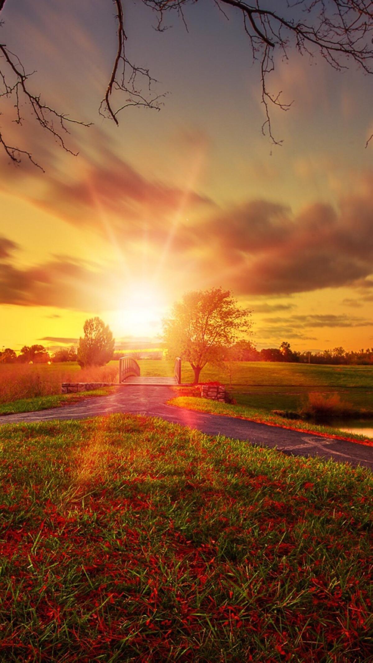 月夜表现杜甫思乡之情的句子,杜甫赞美故乡的诗句