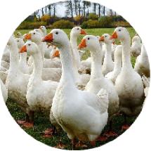 广东有机农业协会,广东省有机农业协会