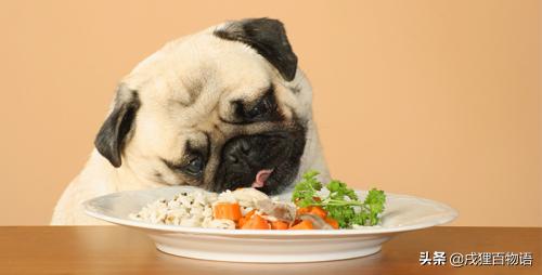 尽快！腺*工罢**！狗狗情况危急