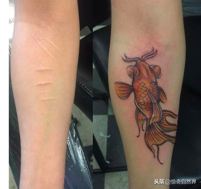 能遮盖疤痕的纹身,遮疤痕的纹身设计