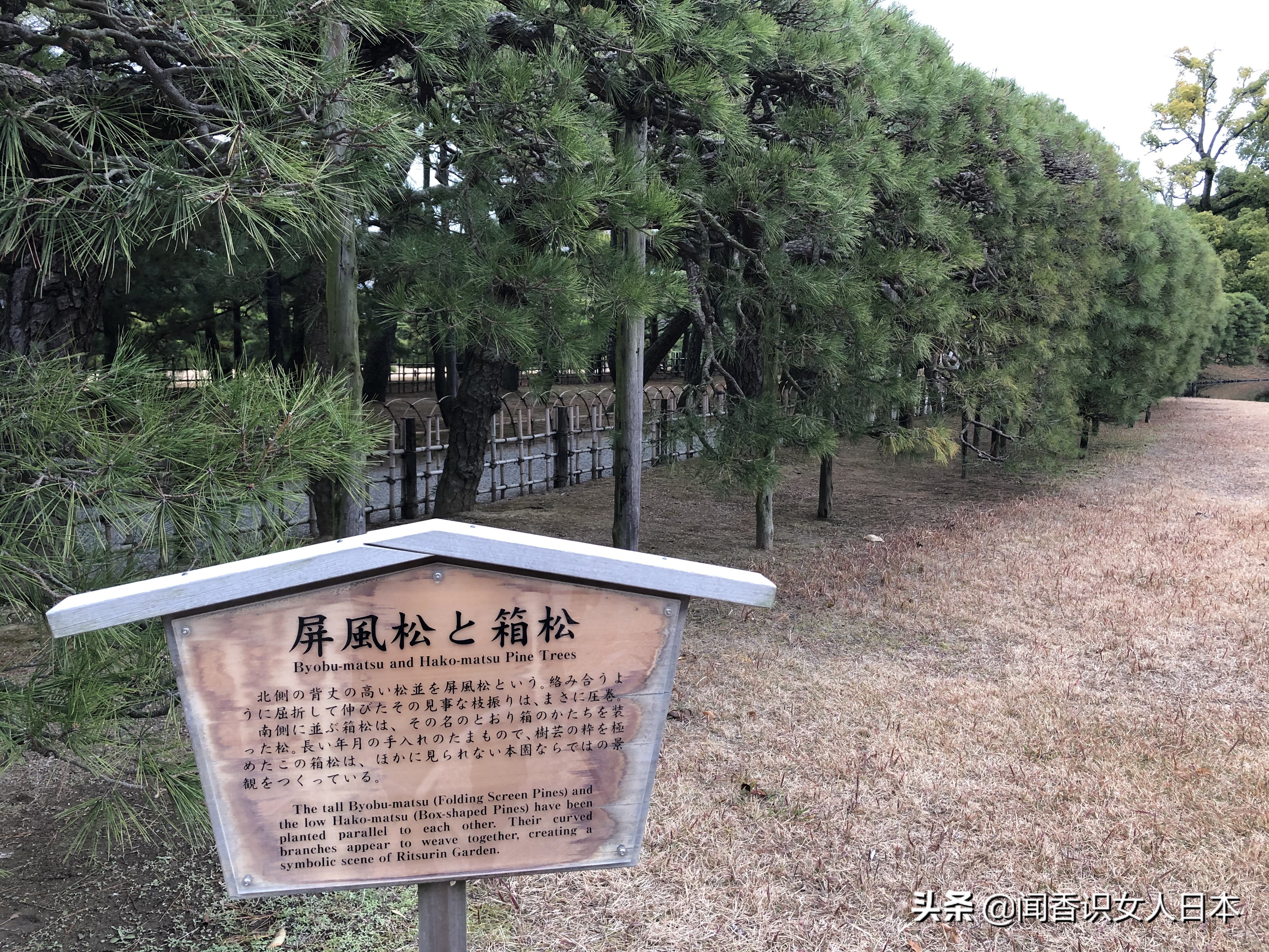 日本的米其林三星餐厅,日本米其林三星参观