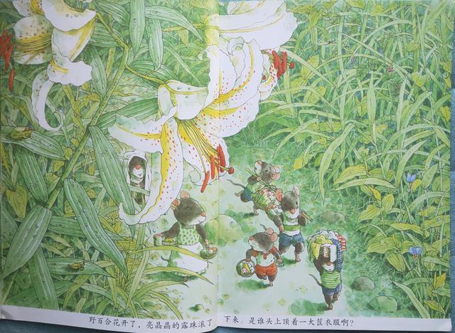 14只老鼠洗衣服阅读笔记,14只老鼠洗衣服的绘本故事