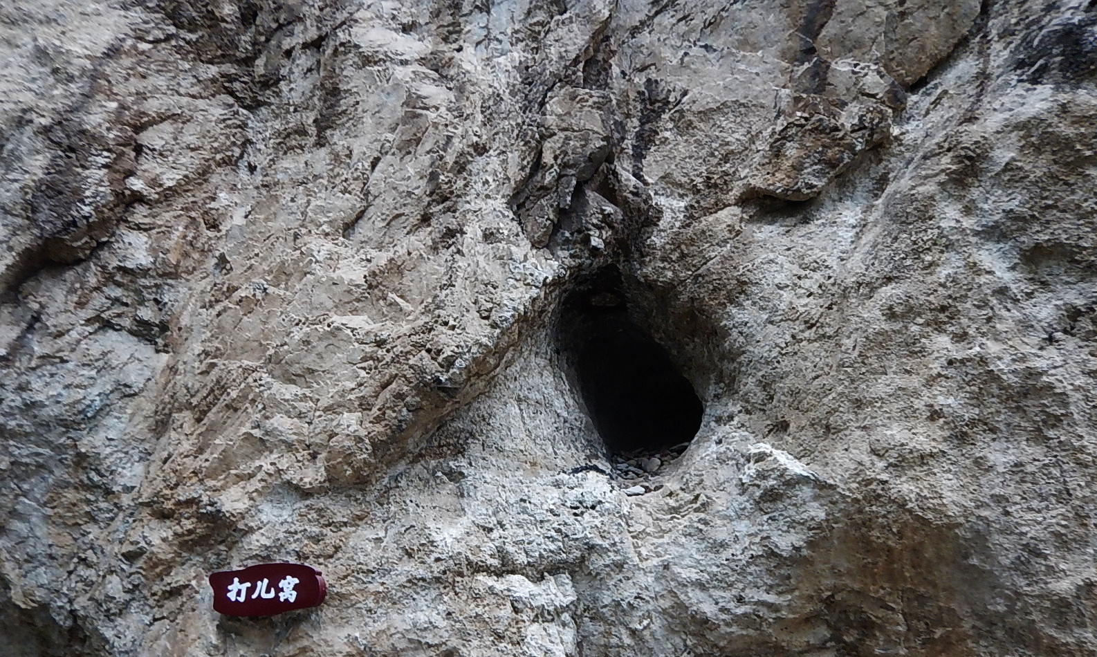 山里面可能捡到的名贵石头,山里哪种地方能捡到有价值的石头