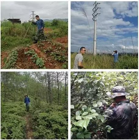 70年电力发展,70年我国能源建设成就