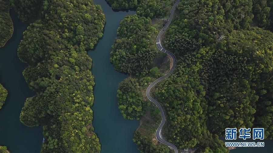 太平湖风光全景,太平湖森林公园