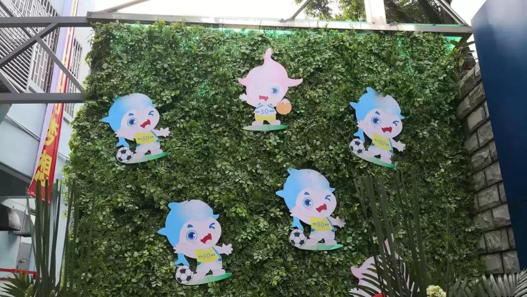 深圳踢足球第一的小学,深圳市足球比较好的小学