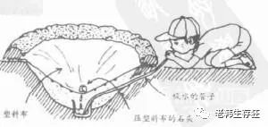 沙漠求生取水技巧,生存狂逃生技巧