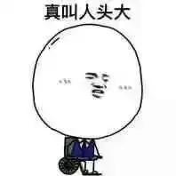 数学是科学的女王,数学中的女皇是谁