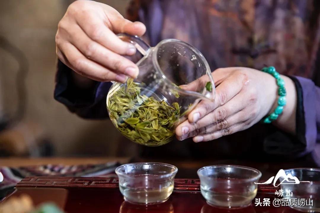 崂山茶特色,简单也许是最好的