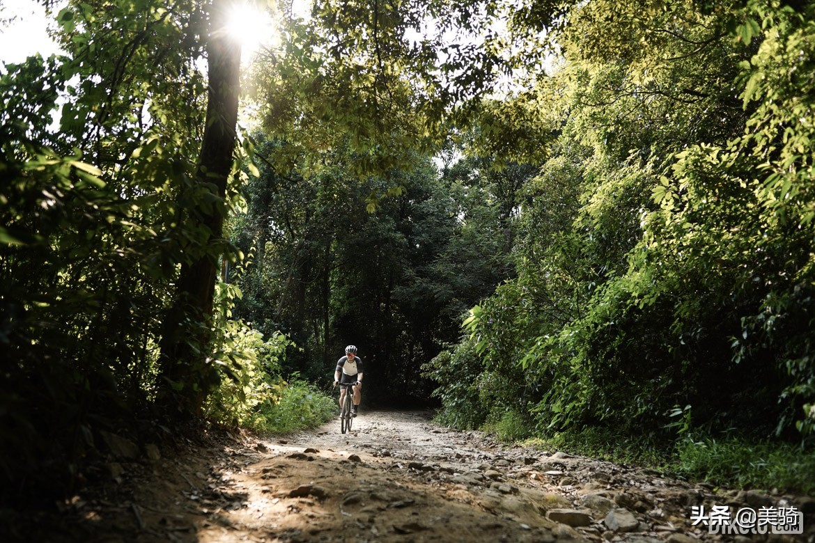 冒险砾石公路车评测,闪电公路车s-workssl7入门级