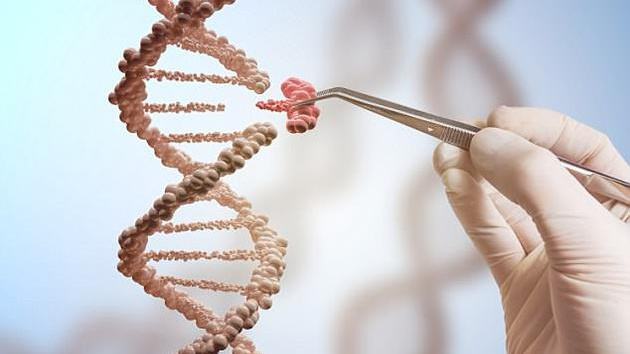 酒基因突变,酒基因