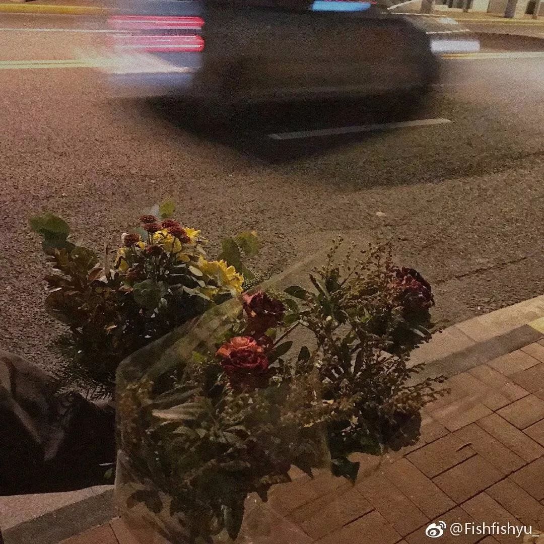 什么花最受女孩欢迎,女孩子中比较受欢迎的花