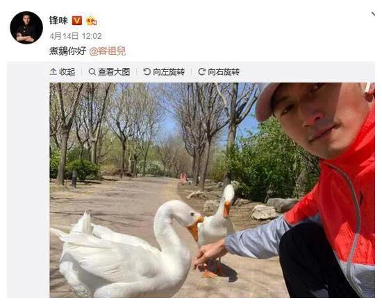 王菲谢霆锋合体想谈什么样的恋爱,王菲谢霆锋一反常态高调秀恩爱