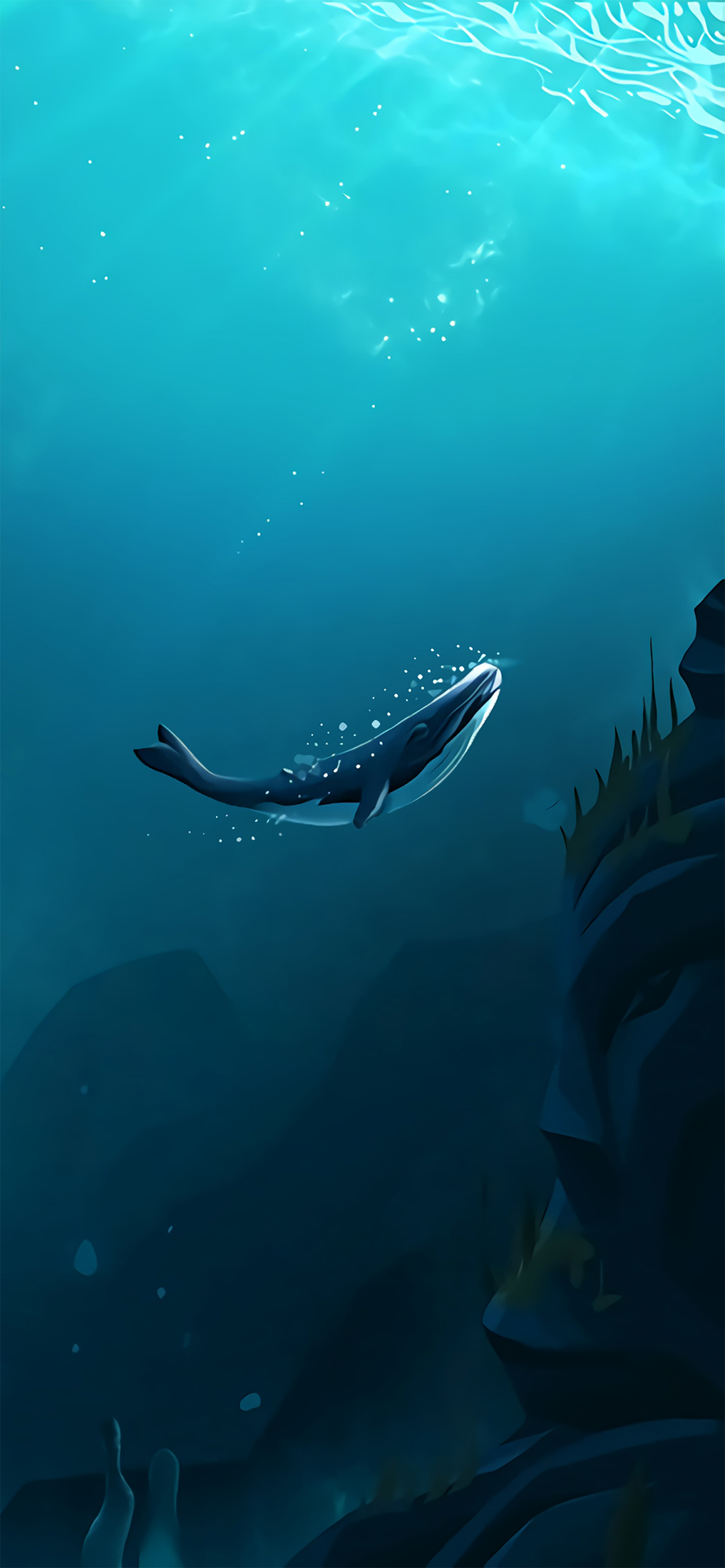 花鸟壁纸动物壁纸,动物壁纸高清手机壁纸