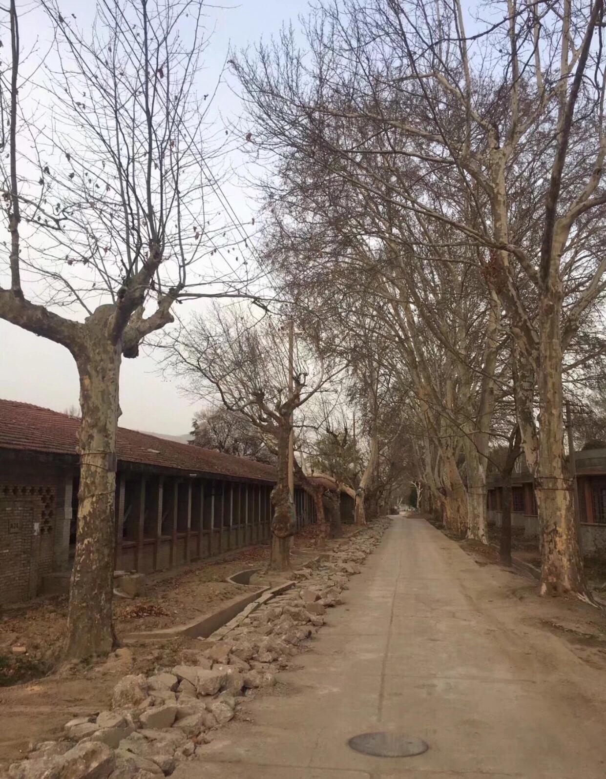 西北第一枪贺丰小说,西北第一枪厂介绍