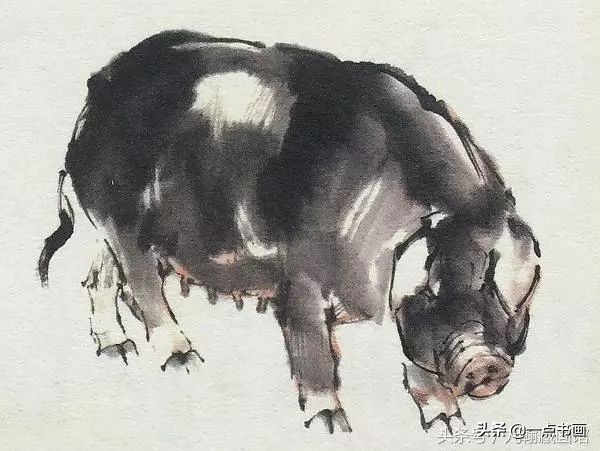 简单猪画画教学,国画写意猪图大全
