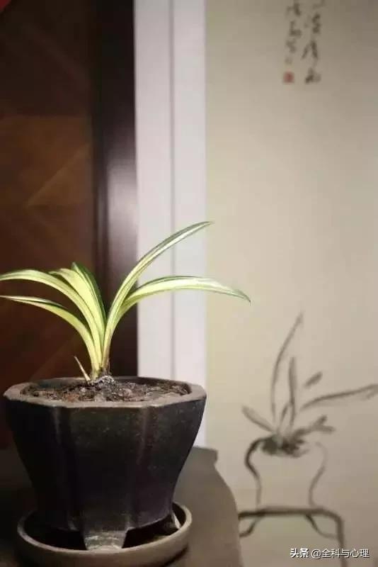 难过时怎么安慰自己,难过的时候怎么安慰自己