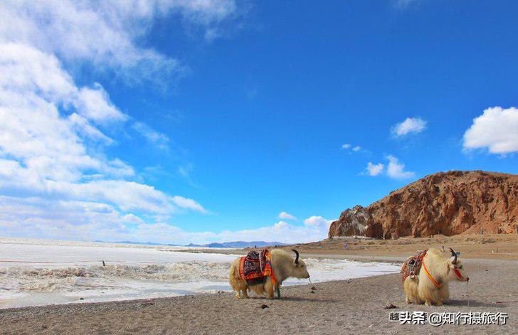 一路前行到西藏,一路前行的自驾游