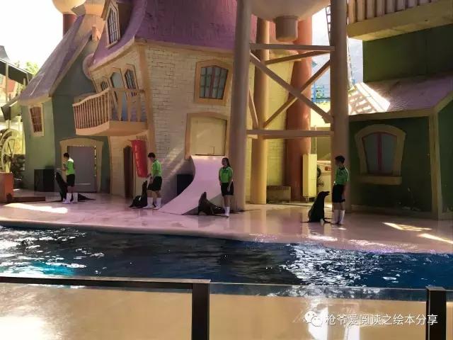 暑假珠海长隆两日一夜亲子游,珠海长隆海洋王国亲子游北极熊