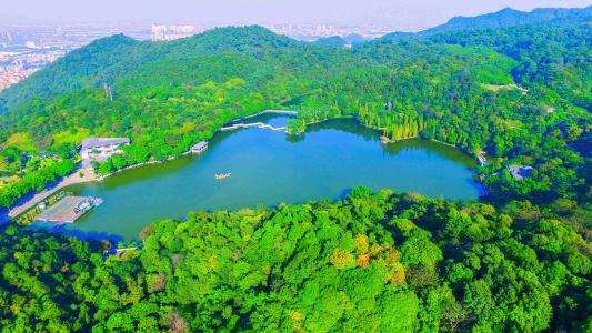 济南千佛山一日游最佳攻略,佛山周边泡温泉的地方一日游