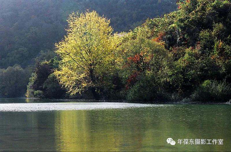 几年后有一种邀约叫：千岛为伴，鱼酒相随，我在天水曲溪等你