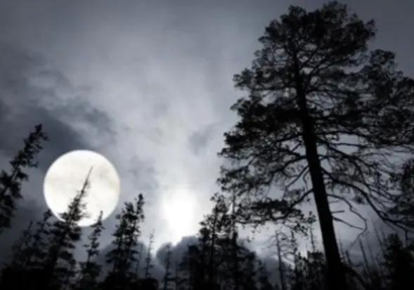 世界最恐怖的十大禁区,世界上最恐怖的十大危险禁区