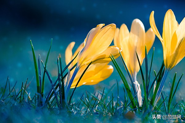 1000元创业小项目,1000元创业小项目投入