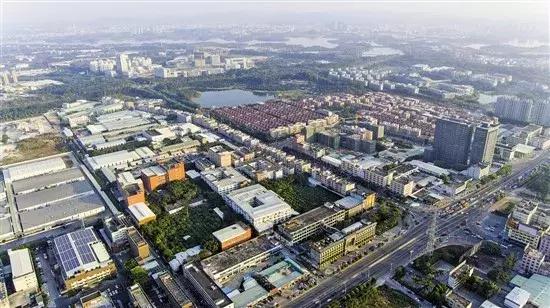 在年岁即将交替的时光里「这一年大岭山都发生了什么大事」