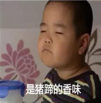 撒狗粮日剧 (撒狗粮的日剧)