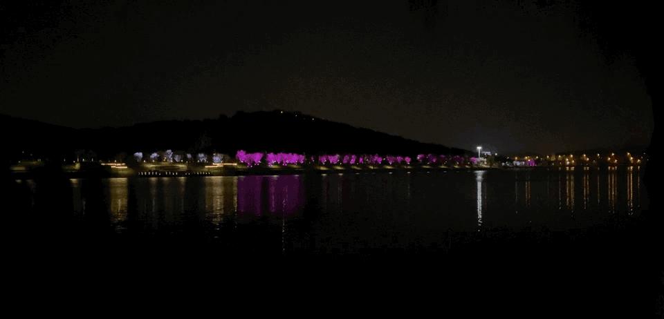 南京的小众景点非常适合一个人去,南京充满森林的公园