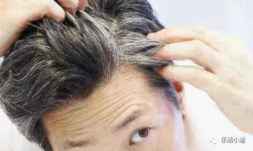 小职员类小说,小职员粤语