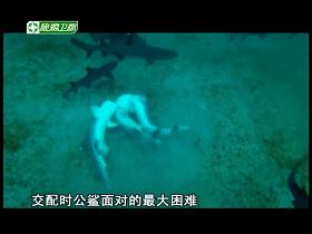 口碑炸裂宝藏纪录片推荐,宇宙生命探索纪录片