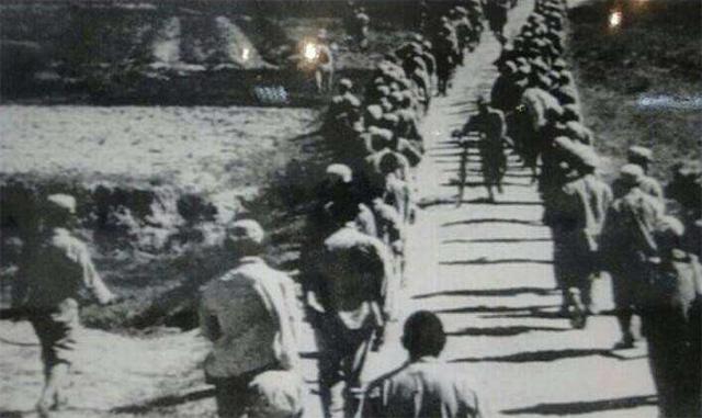 金门战役解密,金门战役有哪些教训