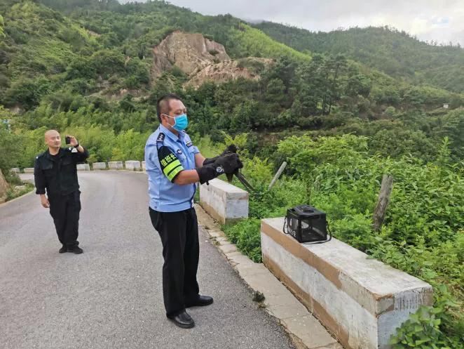 鹰嘴龟红脖子,野生鹰嘴龟是几级保护动物