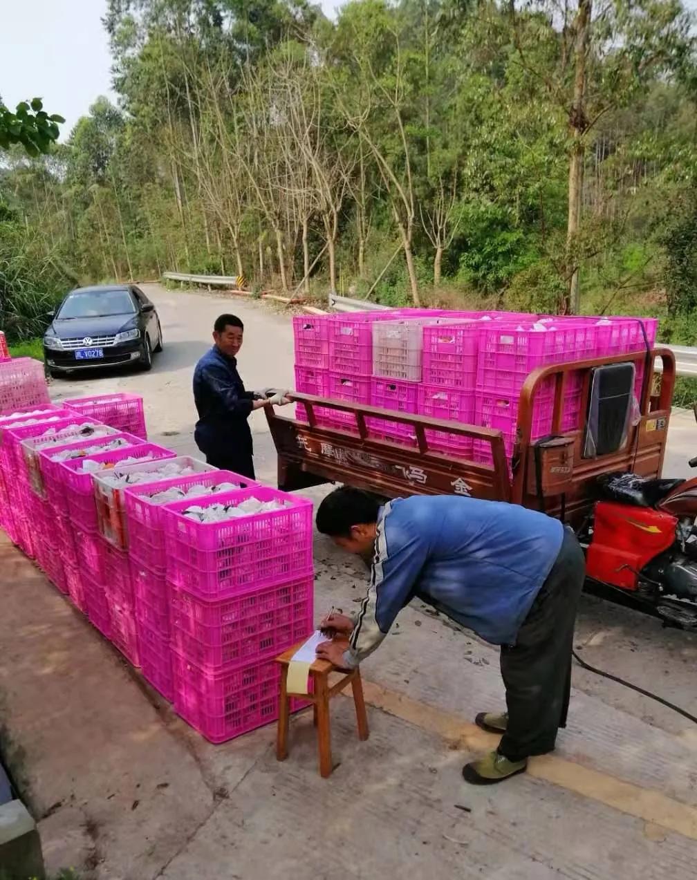 *党**史学习教育|*党**员代购“跑田坎”服务群众“零距离”