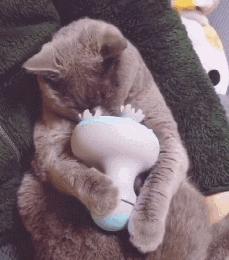 长毛猫撸猫毛工具,哪种撸猫毛的工具好用