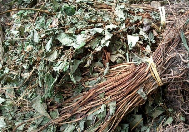 深山溪水野生鱼,农村老家小溪河野生鱼