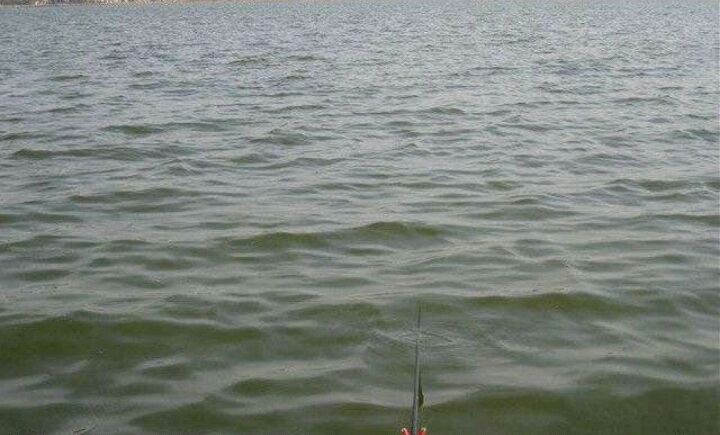 野钓河水钓位怎么选择最好,河道野钓如何选钓位图解