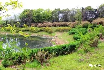 牵一发动全身!没法佛系的区域又出一规划!百万大盘也要来抢客