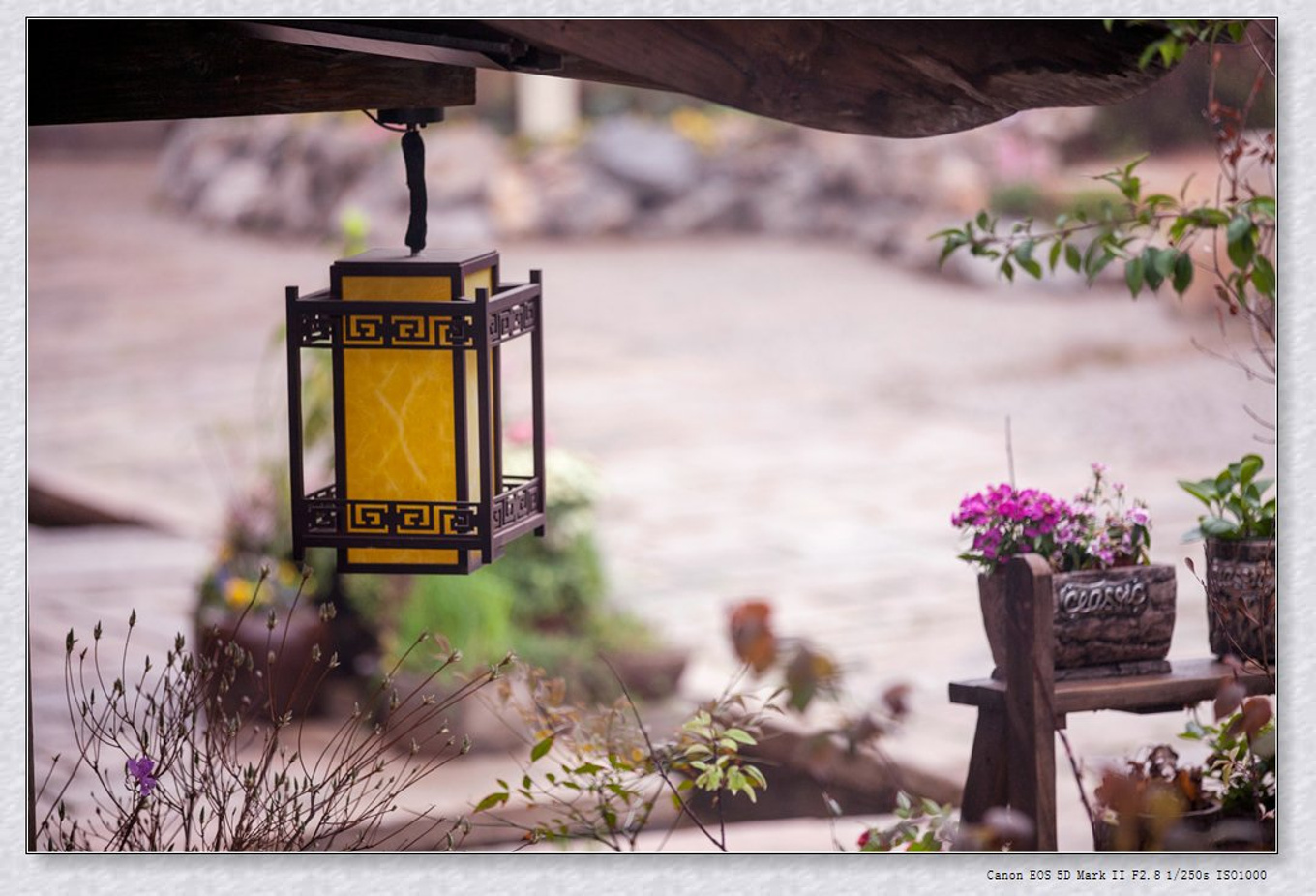 常州旅游东方盐湖城,骆驼之旅视频